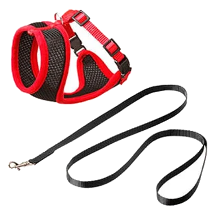 Kitten harness and lead set, black and red, 110 cm, 10 mm, size S