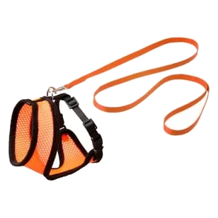 Cat harness and lead set, orange and black, 110 cm, 10 mm, size M