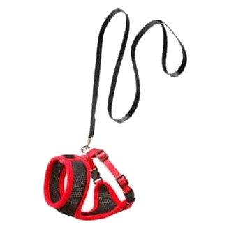 Cat harness and lead set, black and red, 110 cm, 10 mm, size M