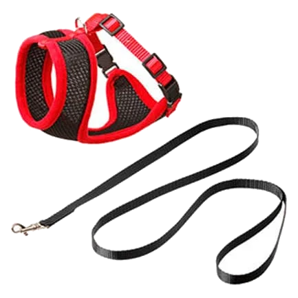 Cat harness and lead set, black and red, 120 cm, 15 mm, size L