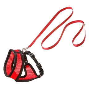 Cat harness and lead set, red and black, 120 cm, 15 mm, size L