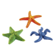 Assorted starfish aquarium ornaments