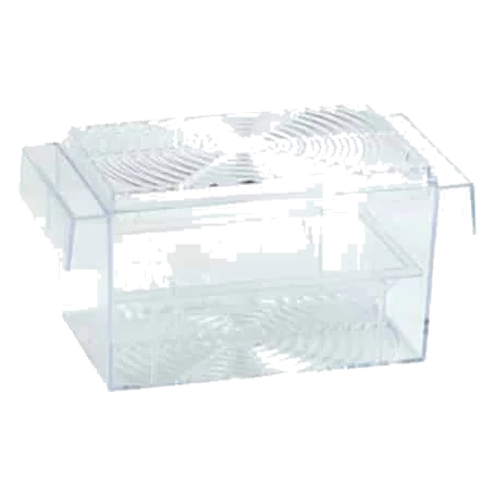 Square guppy tank