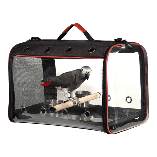 Foldable bird and parrot carrier with perch 46 x 30 cm