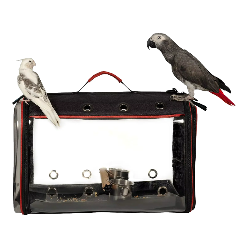 Foldable bird and parrot carrier with clear window and two parrots