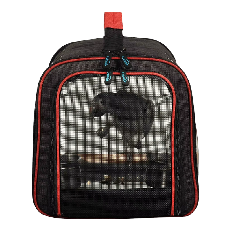 Parrot carrier with breathable mesh, side view