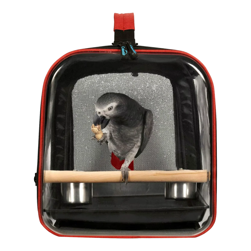 Parrot carrier with wooden perch and feeders, front view