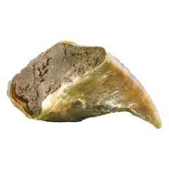 Filled beef hooves dog chews