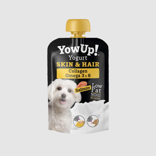 YowUp Skin & Hair natural yoghurt for dogs, skin and coat care